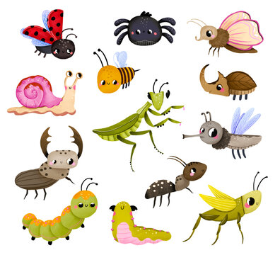 A set of cute hand-drawn insects including ladybug, bee, spider, snail, praying mantis, and beetles. Perfect for nursery decor, children's books, stickers, and educational material.