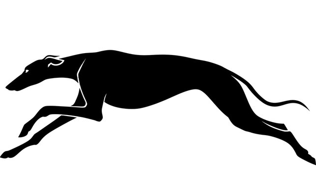 Black greyhound dog silhouette running fast, isolated on transparent background