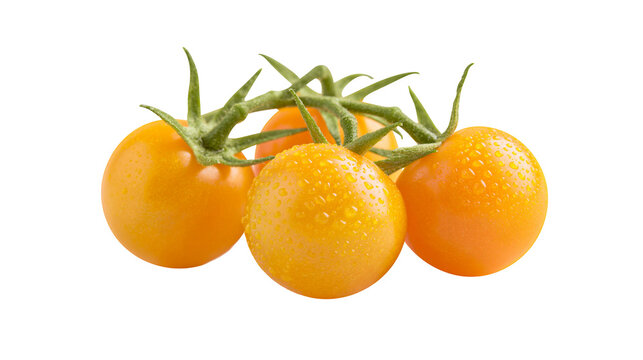 Cluster of ripe yellow cherry tomatoes with water droplets, isolated on transparent background