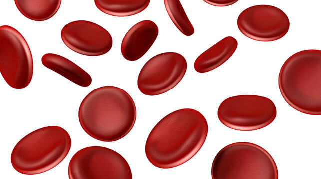 Numerous red blood cells isolated on transparent background, floating in a fluid medium
