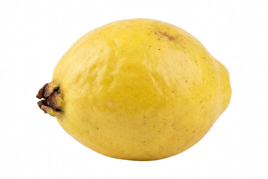 Ripe Yellow Guava Fruit Isolated