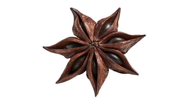 Brown star anise spice with dark seeds, isolated on transparent background