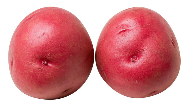 Two red potatoes with smooth skin, isolated on transparent background