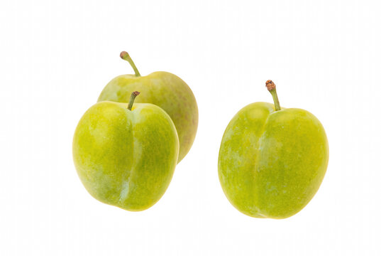 Three Fresh Green Greengage Plums