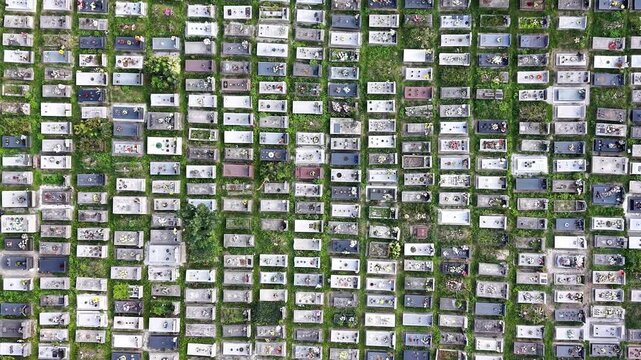 Aerial view of a vast Catholic cemetery showcasing rows of graves adorned with flowers and greenery, highlighting the serene atmosphere and organized layout of memorial sites