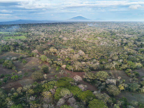 Aerial view of the lush forested landscape and rolling hills with a distant volcano visible on the horizon under a cloudy sky in Jinotepe, Carazo, Nicaragua.