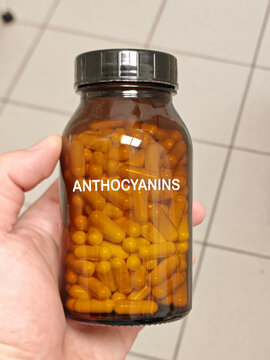 ANTHOCYANINS hard capsule flavonoid antioxidant supplement for eye vascular and cellular health in amber glass bottle held by a pharmacist