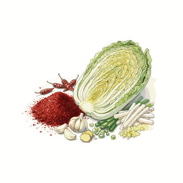 Kimchi ingredients with napa cabbage and chili flat lay for korean cooking blogs and fermented food recipes