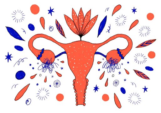 Stylized artistic illustration of a female reproductive system with flowers and colorful decorative elements