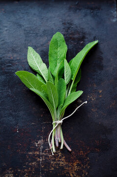 A bunch of fresh sage lies on a dark rustic background
