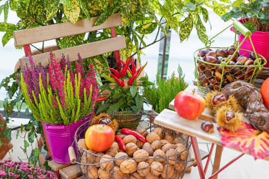 Autumn harvest decoration with apple and walnut on balcony