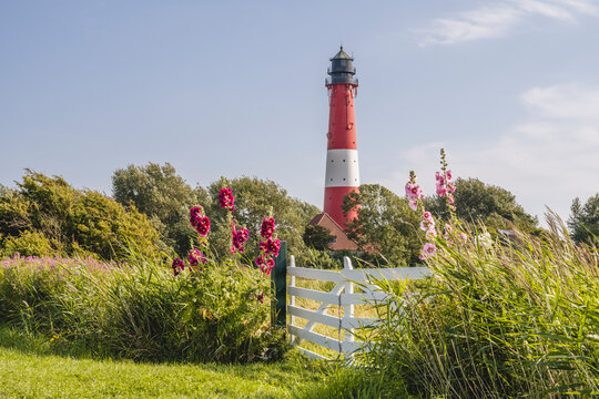 Germany, Schleswig-Holstein, Pellworm, Flowers blooming in front of rustic gate with Pellworm Lighthouse in background