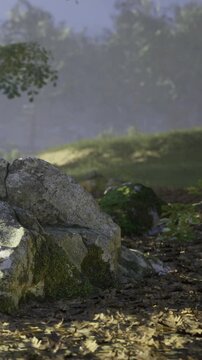 In a peaceful forest, soft morning light filters through the trees. Moss blankets the stones, creating a calm atmosphere where nature thrives in quiet beauty.