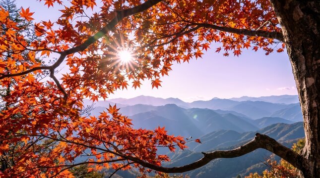 Aerial view of red maple trees and autumn leaves on a mountain top in Karuizawa.