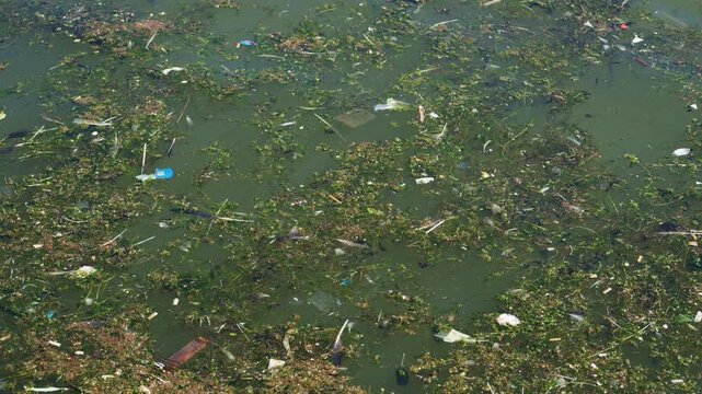 Floating plastic waste and algae polluting urban water