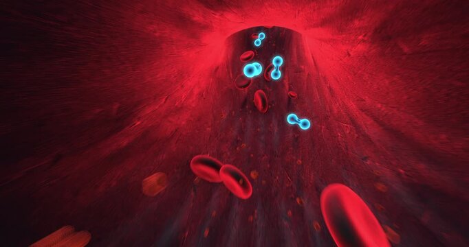 Microscopic view of red and white blood cells circulating inside human blood vessel. Science And Health Related 3D Animation.