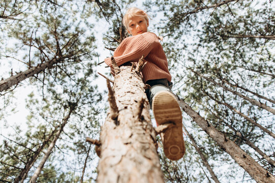 Girl climbing on pine tree in forest