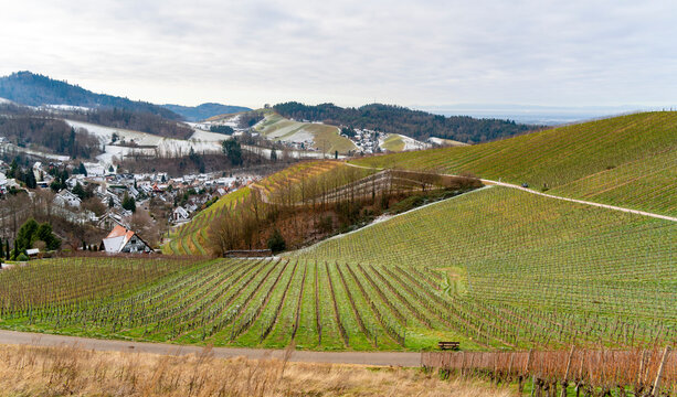 Black forest scenery
