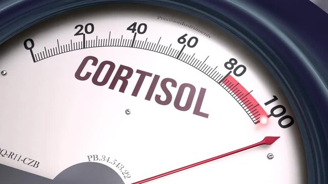 Cortisol - medidor con la aguja en el m&aacute;ximo: la hormona del estr&eacute;s se dispara y el nivel de cortisol marca el tope. Demasiado cortisol.