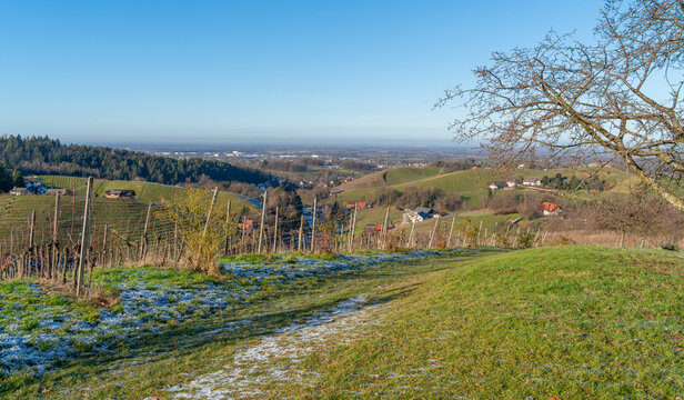 Black forest scenery