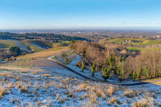 Black forest scenery