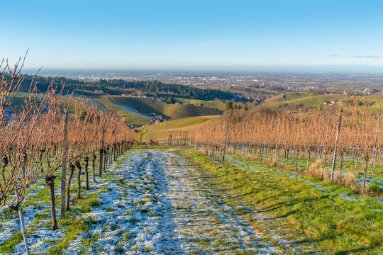 Black forest scenery
