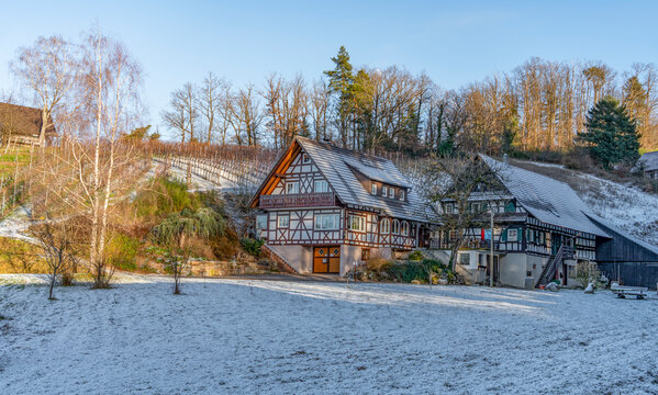 Black forest houses