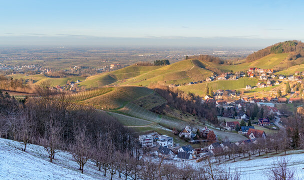 Black forest scenery