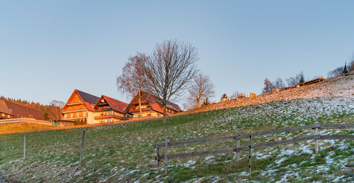 Black forest scenery