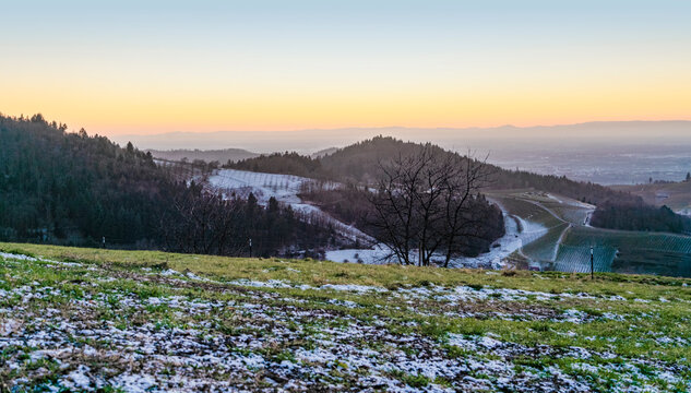 Black forest evening scenery