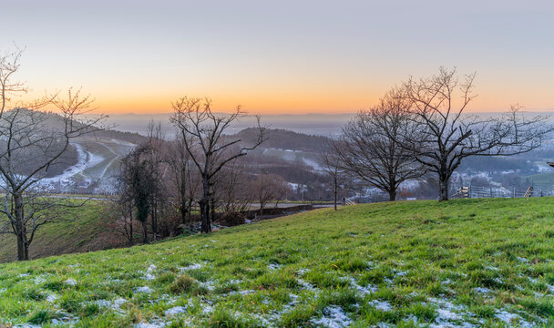 Black forest evening scenery