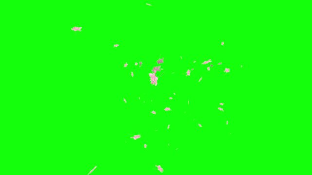 Delicate pink cherry blossom petals of various sizes fall gently from the top of a solid bright lime green background in soft vector style.