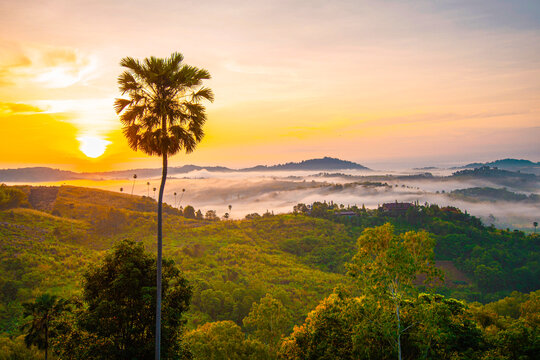 Landscape photograph, a key viewpoint of Khao Kho: morning sea of ​​mist at Khao Kho National Park, Phetchabun Province, Thailand.