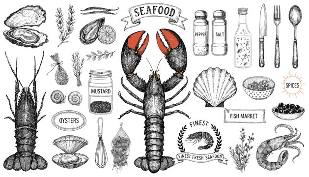 Hand Drawn Vintage Seafood Collection for Culinary Design