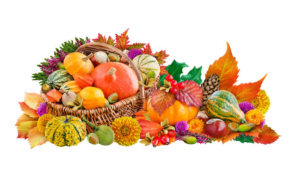 Dekoration im Herbst mit K&uuml;rbis, Kastanien, Blumen und Herbstlaub im Korb Hintergrund transparent PNG cut out