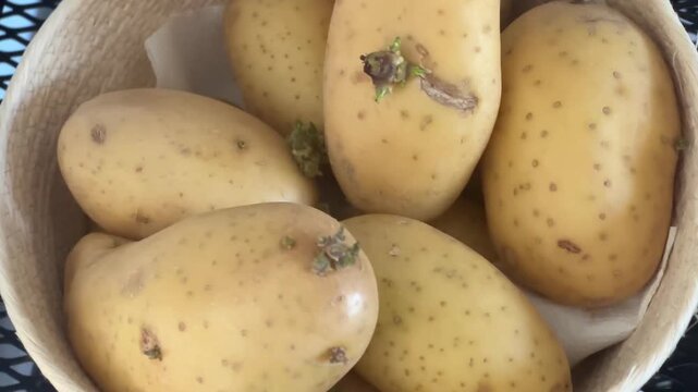 Close-up of sprouting potatoes piled in a basket