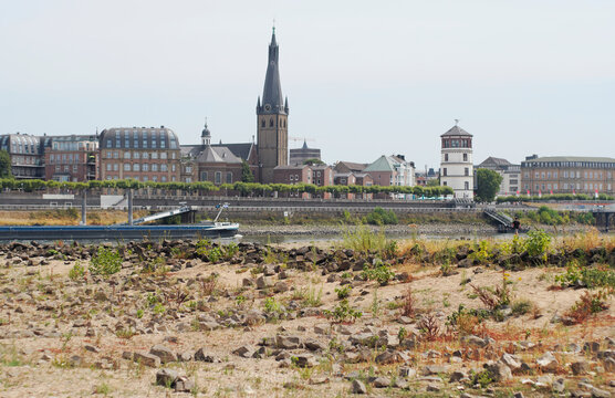 Low stream gauge of rhine river in D&uuml;sseldorf,Germany.Climate change,global warming concept,plants are conquering the former riverbed and ships can only operate with half of their cargo