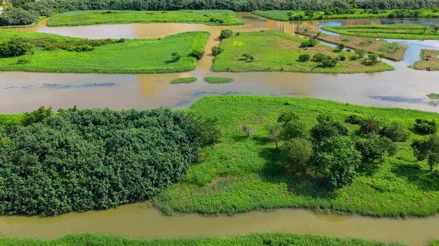Aerial View of Cotai Ecological Reserve, Macau