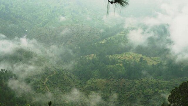 Foggy Green Mountain Valley With Terraced Fields In Himalayas