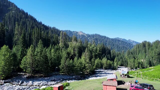 Dense conifer forest borders a rocky river valley in Thal, Upper Dir District, Khyber Pakhtunkhwa, Pakistan