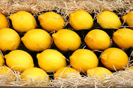 Cageot de citrons provenant de Sicile