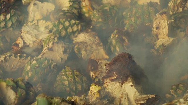 Steaming roasted agave pi&ntilde;as inside traditional mezcal cooking pit in Oaxaca, smoke rises slowly, textured backdrop