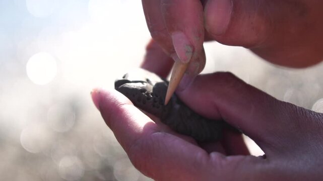 Hands clay carving, person shaping small object with toothpick outdoors in sunlight, creative art project