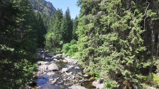 Summer view of Rila Mountain near Beli Iskar River, Sofia Region, Bulgaria