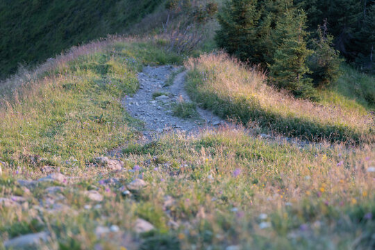 Germany, Bavaria, Allgaeu, Gruenten mountain, Peak of "Gr&uuml;nten" near Immenstadt
