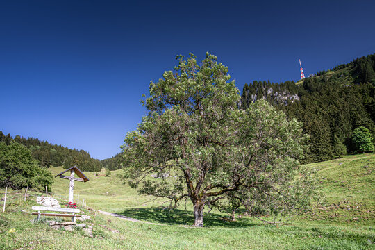 Germany, Bavaria, Allgaeu, Gruenten mountain, Peak of "Gr&uuml;nten" near Immenstadt