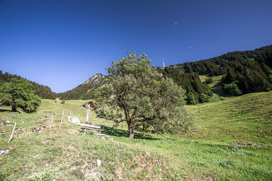 Germany, Bavaria, Allgaeu, Gruenten mountain, Peak of "Gr&uuml;nten" near Immenstadt