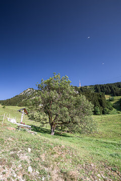 Germany, Bavaria, Allgaeu, Gruenten mountain, Peak of "Gr&uuml;nten" near Immenstadt