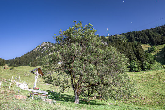 Germany, Bavaria, Allgaeu, Gruenten mountain, Peak of "Gr&uuml;nten" near Immenstadt