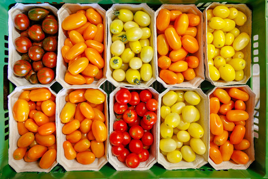 Colorful variety of tomatoes in baskets at a farmers market in the afternoon sun